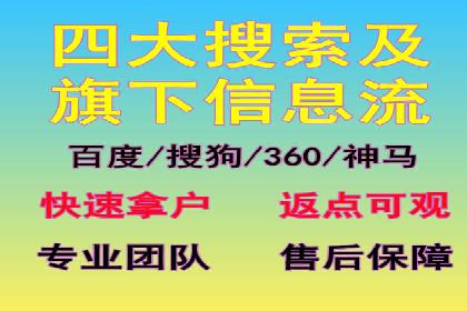 SEM服务托管：提升广告效果的成功案例解析